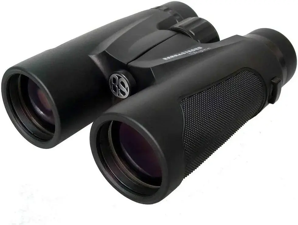Miniatura: BARR AND STROUD SKYLINE 10X42 BINOCULAR