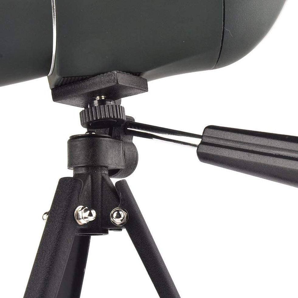 Miniatura: CELESTRON LANDSCOUT 10-30X ZOOM 50 MM SPOTTING SCOPE