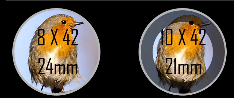 Miniatura: SUPERNOVA DIAMONDBACK ED 10X50 BINOCULARS WATERPROOF FMC [indian brand]