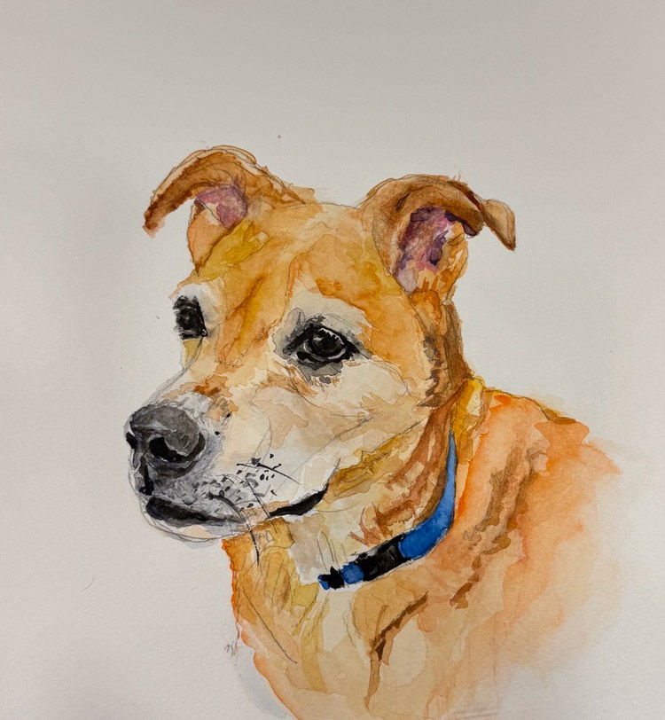 water color painting of a fawn colored dog