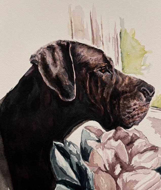 Dog Portrait Painting