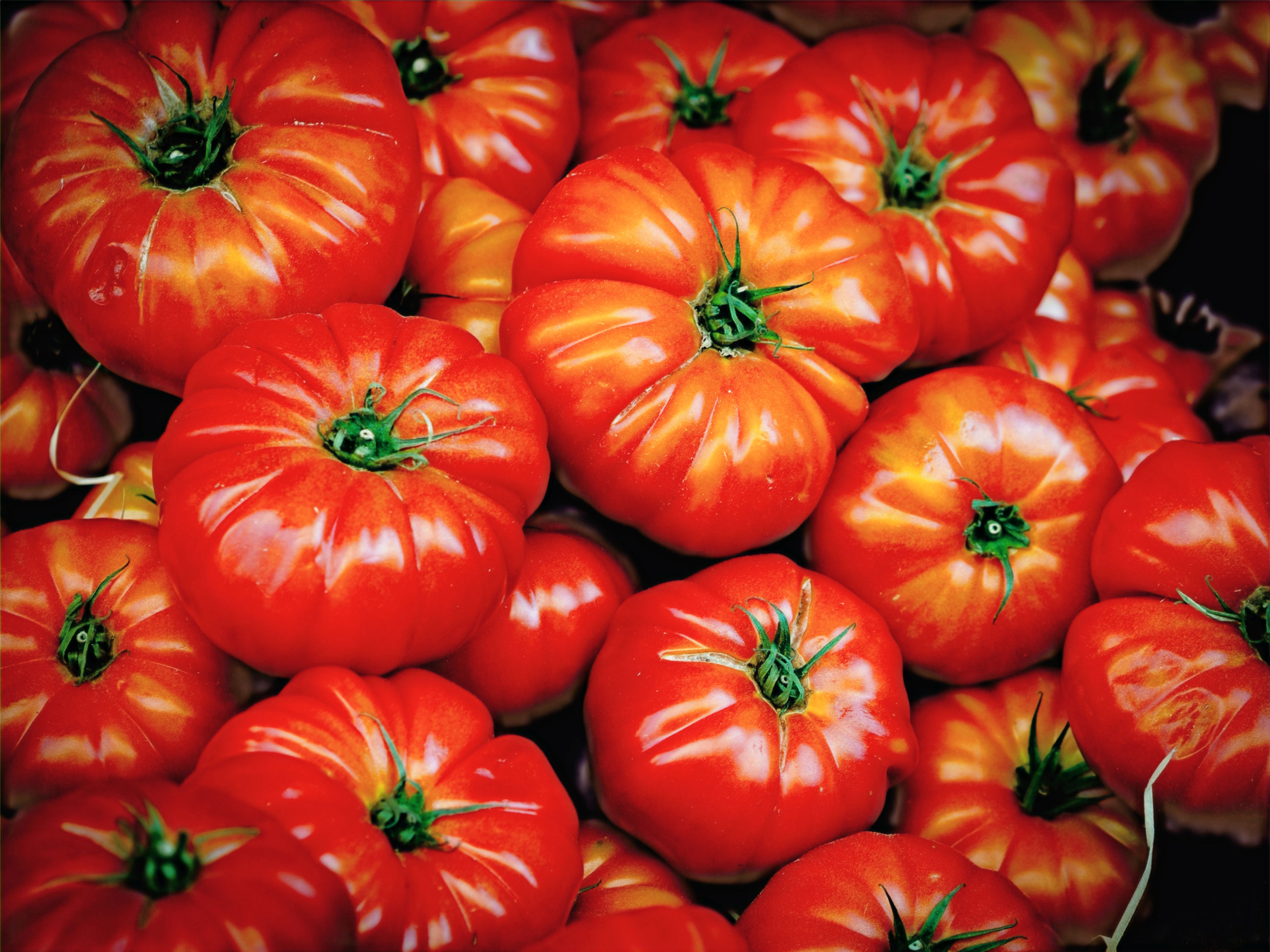 Coeur du boeuf tomaten 500gr