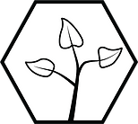 seedling icon (1).png