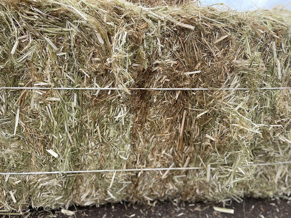 Thumbnail: Hemp Straw Mulch Bales