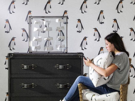 Penquin Craze-y