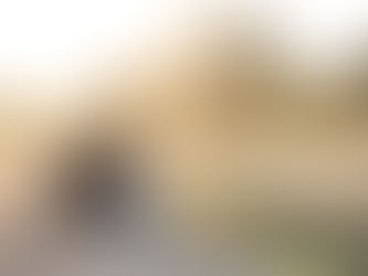 The Photoshoot I didn't know was missing from my life....