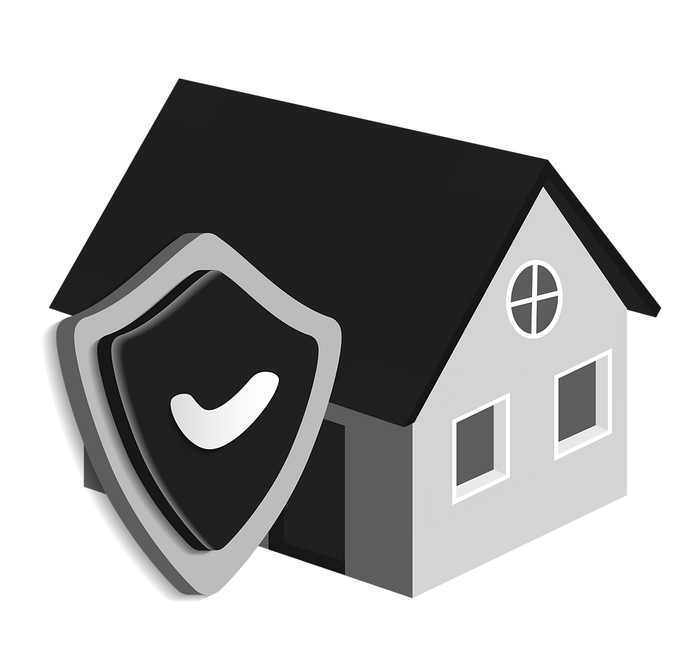 Asset protection_edited.png