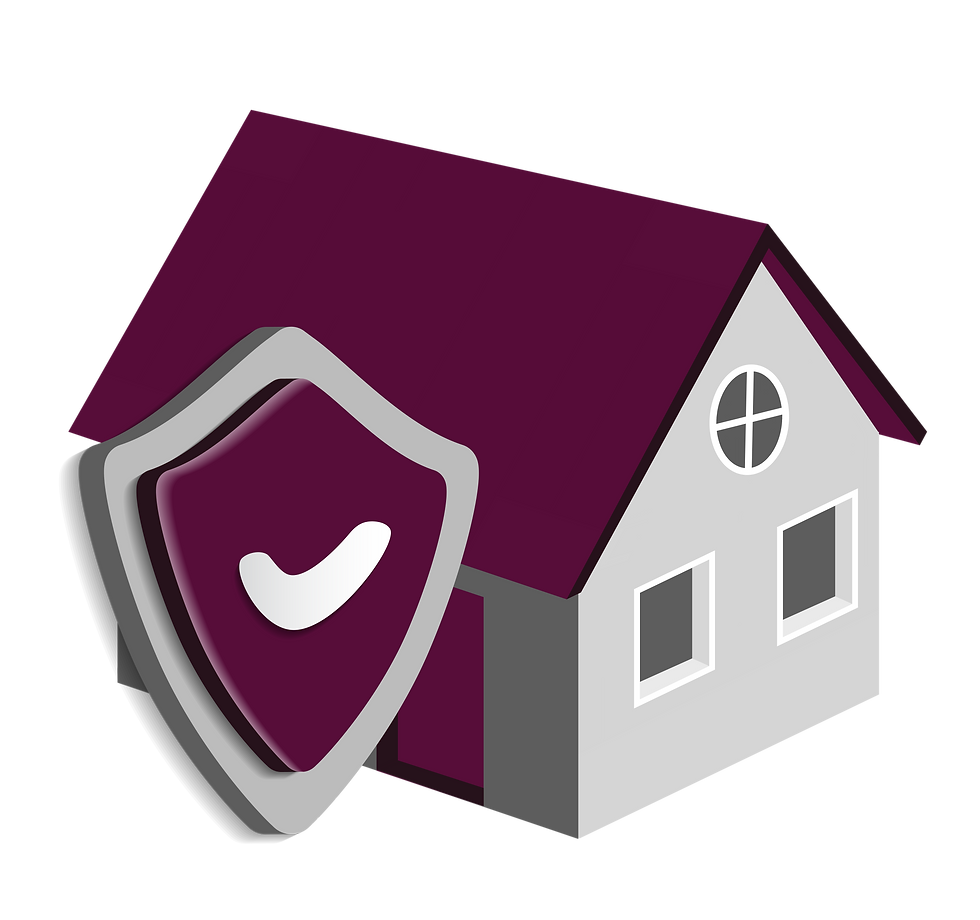 Asset protection.png