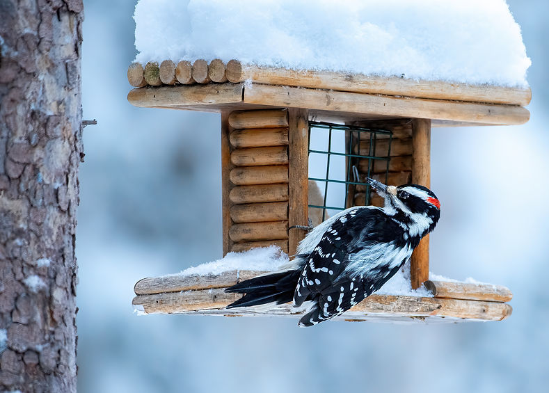 AdobeStock_547227636.jpeg
