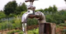 Wasser auf