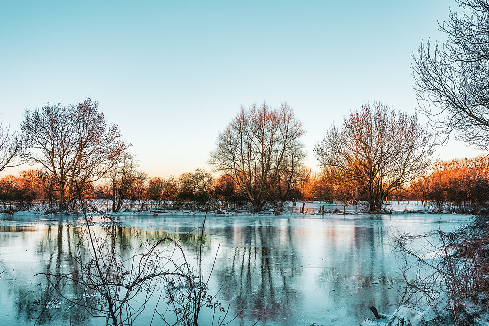 AdobeStock_415454456.jpeg