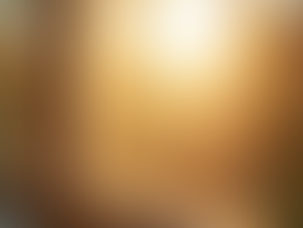 Ceramic vs Dual-Reflective Window Films: Which Offers Better Heat Reduction for Virginia Homes?