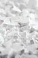 Calcium chloride (CaCl2) flakes. Common