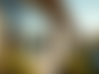 Transform Your Home Comfort with Window Tinting in Great Bridge Today