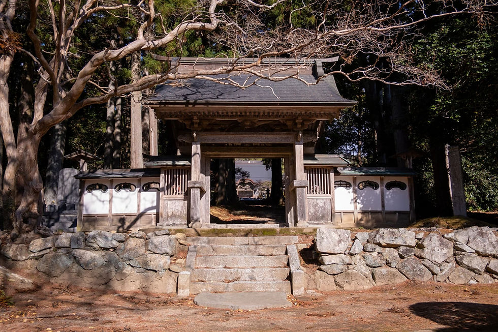 Approaching the temple gate.