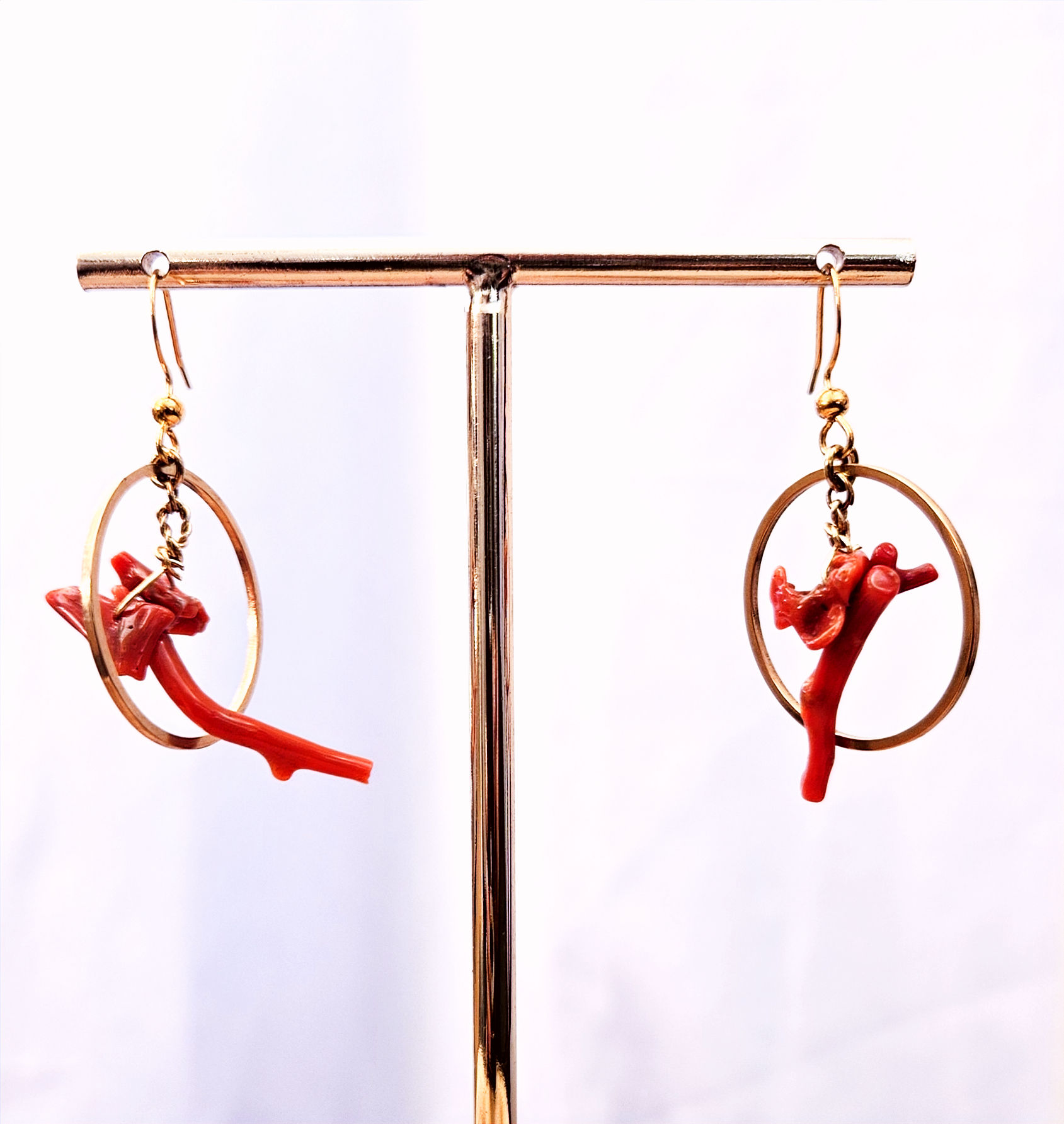 Collection autour du rond