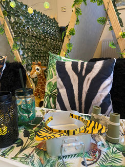 Safari Adventure sleepover party