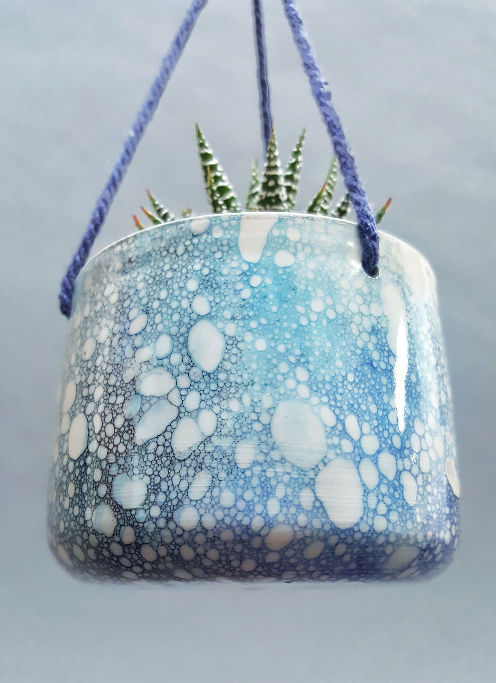 Thumbnail: Hanging Succulent Holders