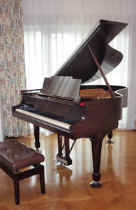 m1.jpg