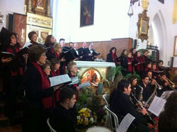 1508206_460586530714054_221159567_n