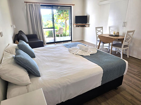 Accessible King Studio Suite 4.jpg