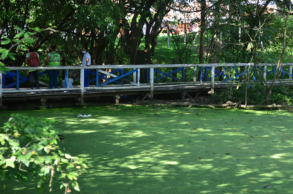 DSC_0179.JPG