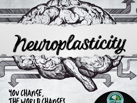 Harnessing the Power of the Brain