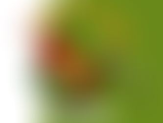 Naturally Increase GLP-1 Without a Prescription