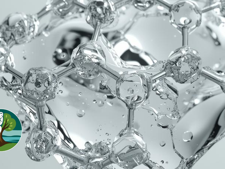 🍬 Sweet Minds: How Sugar Fuels—and Fools—the Brain