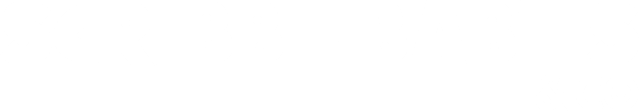 SB LOGO NAME WHITE.png