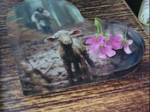 Walk with Purpose (Joshua 11 & 12) 