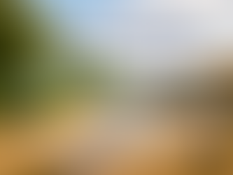 Take action on your Faith (Joshua 3&4) 