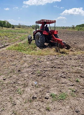 Image 8-8-25 at 4.04 PM.jpeg