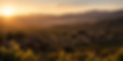 VPYA - Imagen 1.png