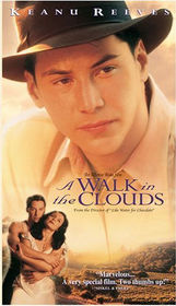 A Walk in The Clouds.jpg