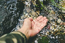 AdobeStock_219975721 copy.jpeg