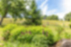Vermont landscape in Craftsbury, VT