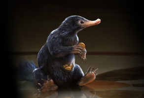 Poetry: Fantastic Beasts & Where to Find Them