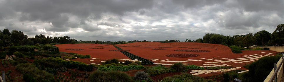 A Stitched Panorama of Cranbourne Gardens