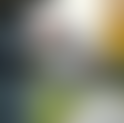 Top Security Tips for Homeowners and Business Owners