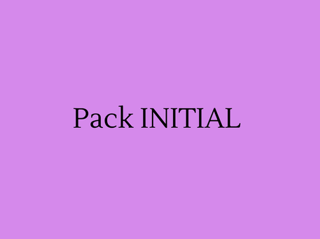 maître d'œuvre pack INITIAL