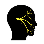Trigeminal Neuralgia