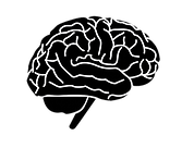 Brain