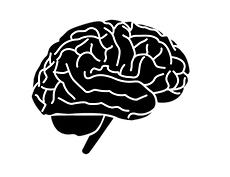 Brain