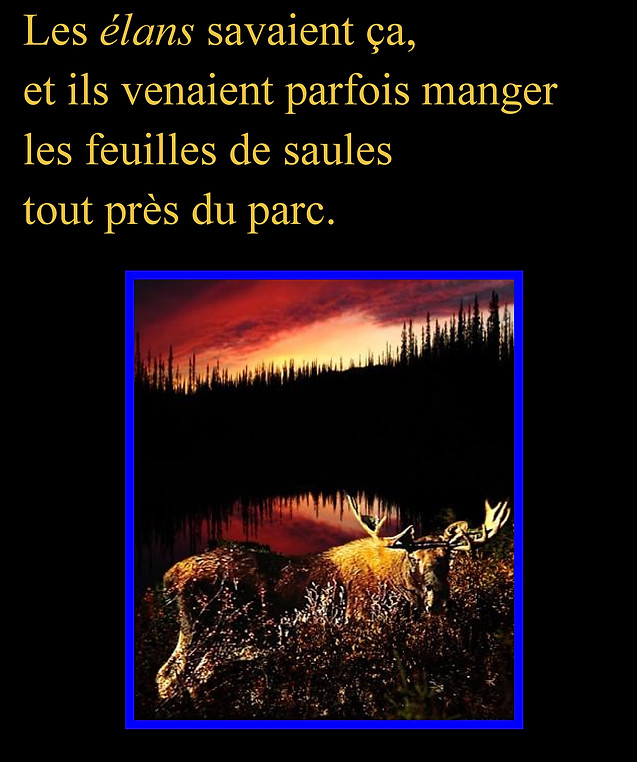 TilamoWeb4.docx (1)-page-014.jpg