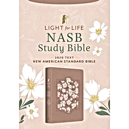 holy bible pink.png