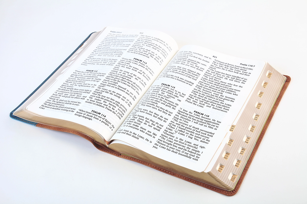 Miniatura: The Barbour Simplified KJV-Large Print Thumb Indexed