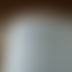 A Guide to Choosing the Right NIV Bible Edition