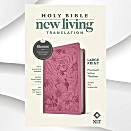 holy bible pink.png