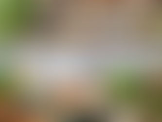 Semaglutide Meal Ideas: How to Maximize Your Weight Loss Journey